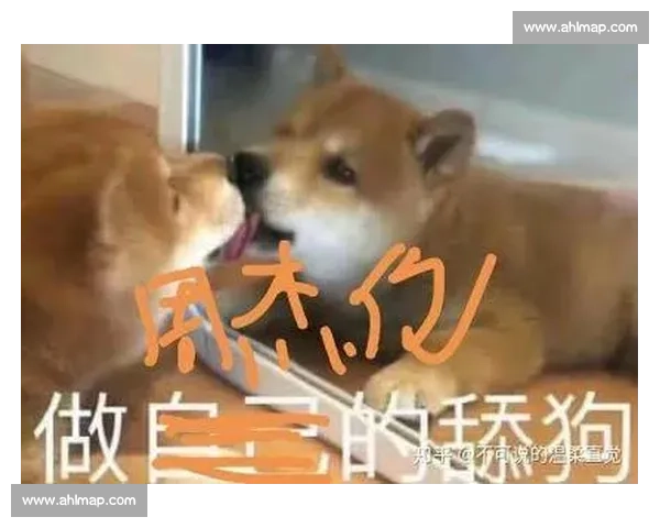 吴亦凡周杰伦音乐对决引发的粉丝热议与文化碰撞分析